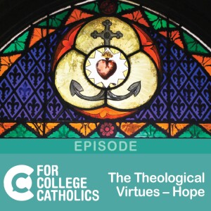 146 Theological Virtues – Hope in God