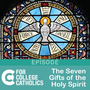 148 The Seven Gifts of the Holy Spirit