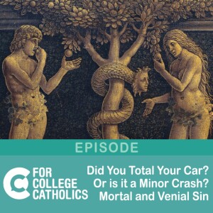 153 Did You Total Your Car, or is it a Minor Crash? Mortal and Venial Sin