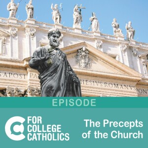 165 The Precepts of the Church