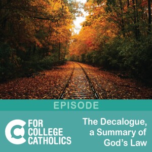 168 The Decalogue, a Summary of the Law