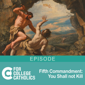 179 Fifth Commandment - You Shall not Kill