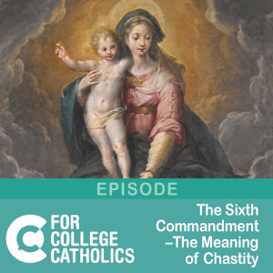 186 Sixth Commandment – Meaning of Chastity