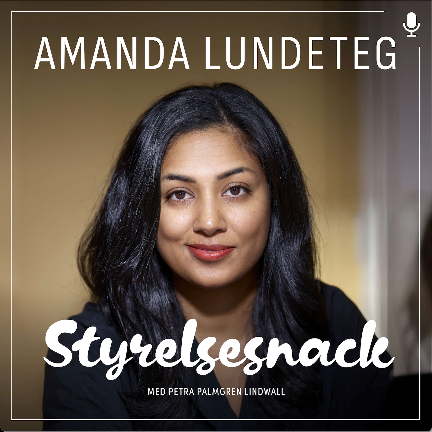 Styrelsesnack
