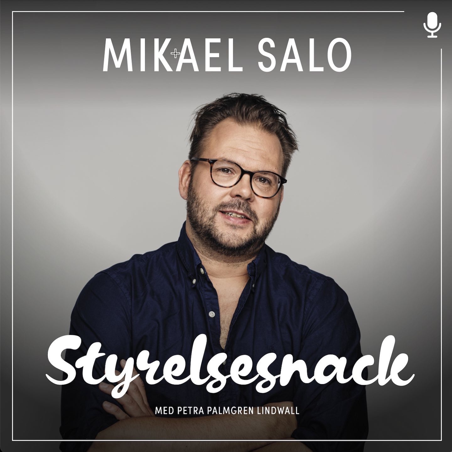 Styrelsesnack
