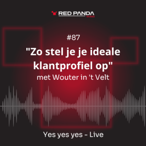 "Zo stel je je ideale klantprofiel op" met Wouter in 't Velt #87 Yes yes yes - Live
