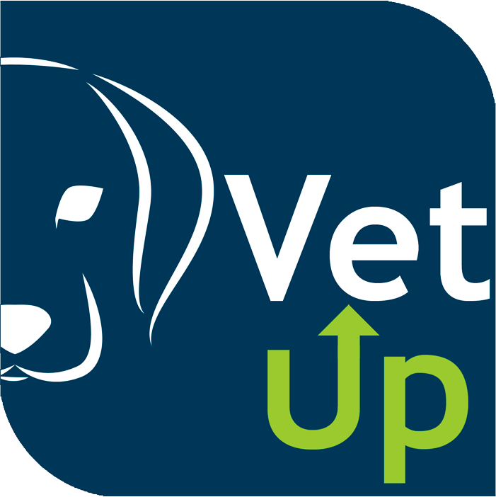 VetupCast #36 - Como iniciar um negócio?