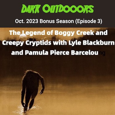 Dark Outdoors