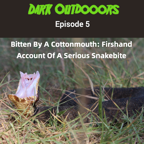 Dark Outdoors