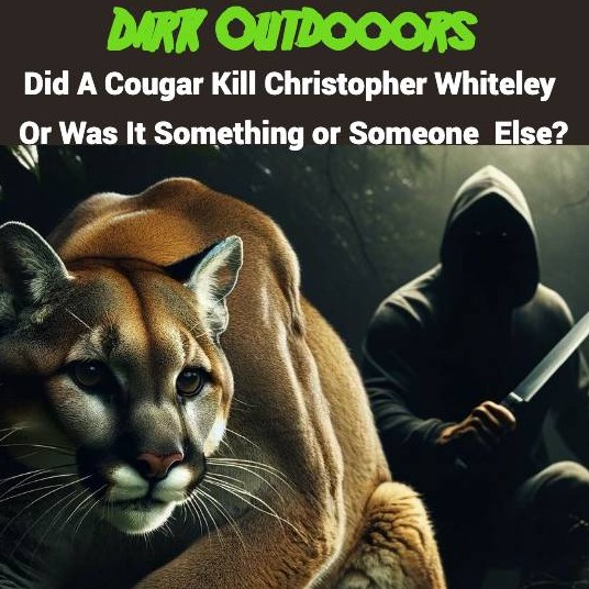 Dark Outdoors