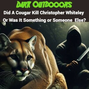 Did A Cougar Kill Christopher Whiteley Or Was It Something Or Someone Else?