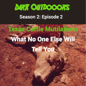 Texas Cattle Mutilations: What No One Else Will Tell You