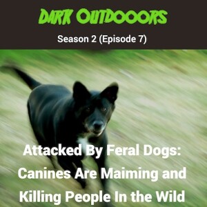 Attacked By Feral Dogs: Canines Are Maiming and Killing People In The Wild