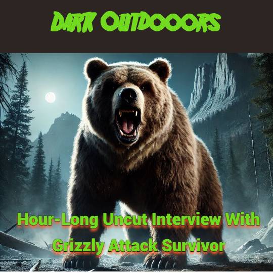 Dark Outdoors