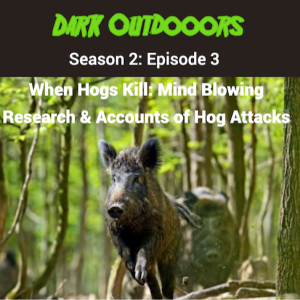 When Hogs Kill: Mind Blowing Research & Accounts of Hog Attacks