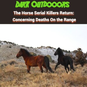 The Horse Serial Killers Return