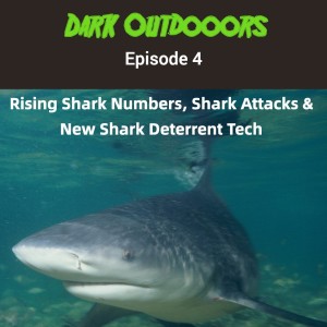 Rising Shark Numbers, Shark Attacks & New Shark Deterrent Tech