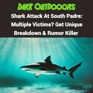 Shark Attack At South Padre Island: Multiple Victims?