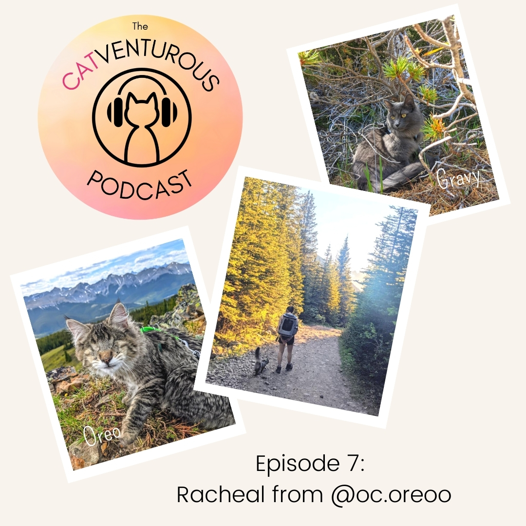 Episode 7 - Racheal from @oc.oreoo