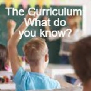 The Curriculum: What do you know?