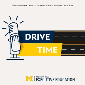 Drive Time! - How Leaders Can Optimize Teams’ Emotional Landscapes