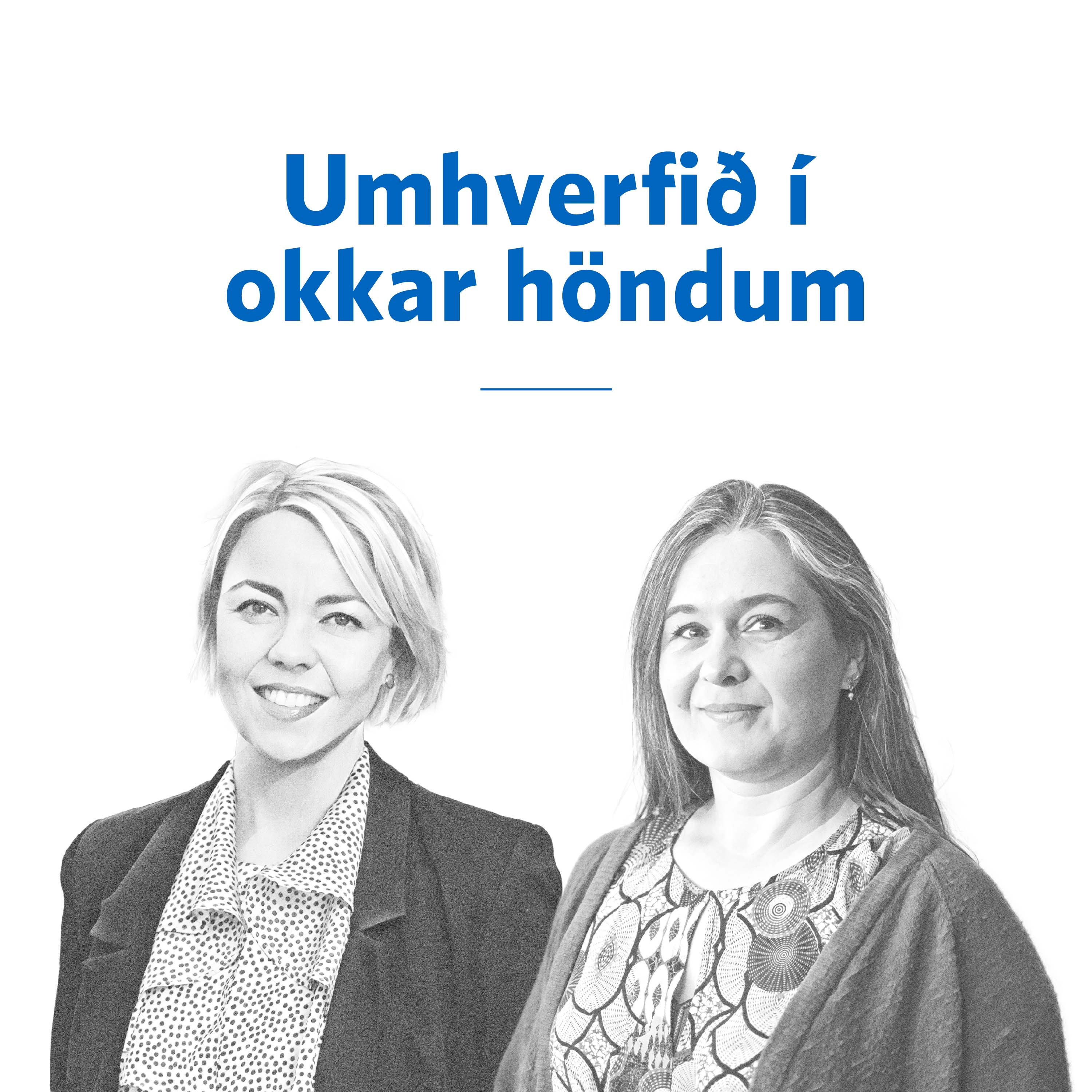Sjóvá spjallið