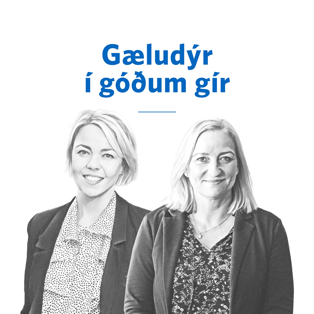 Sjóvá spjallið