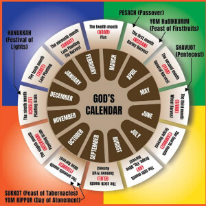 BIBLICAL YEAR and CALENDAR, when does YESHUA RETURN??