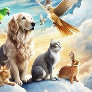 Who's GOING to HEAVEN? Do DOGS go?