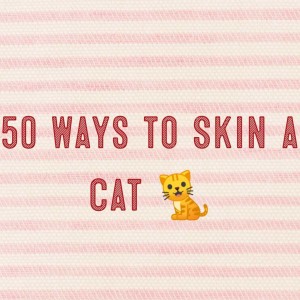 Jurisdiction 101 Many Ways to Skin a Cat