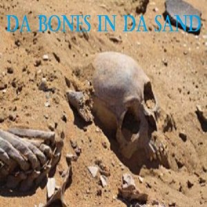 WiscoDice #33; Da Bones in Da Sand