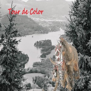 WiscoDice #16; Tour De Color