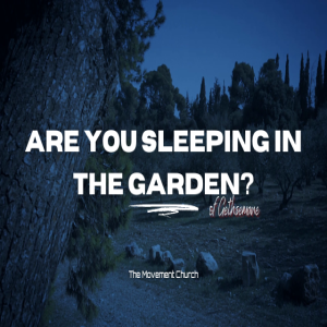 SLEEPING IN THE GARDEN