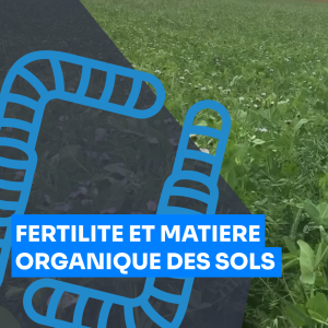 Fertilité et matière organique des sols, François Hirissou