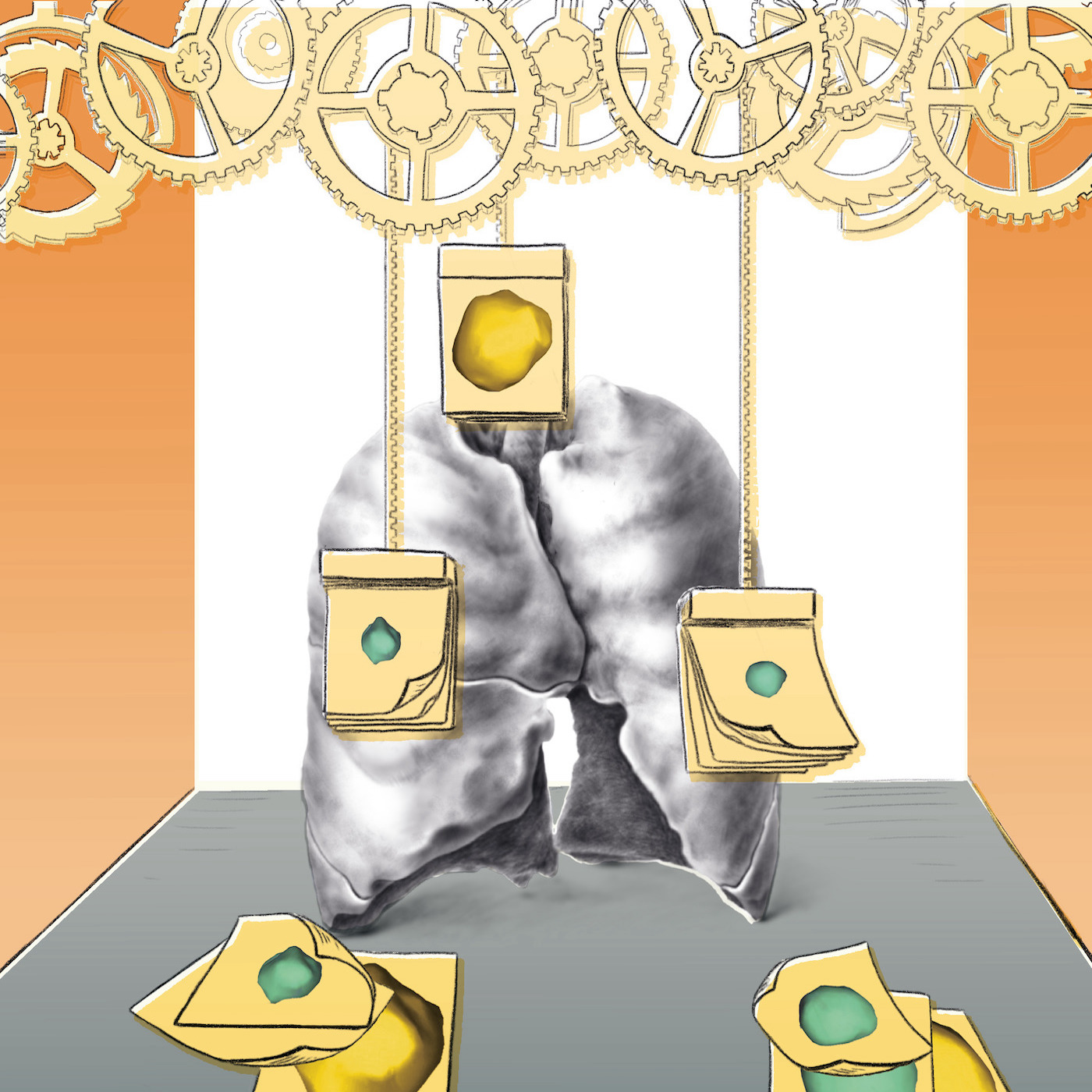 Monitoring Tumor Therapy More Precisely
