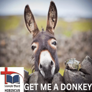 Get me a donkey