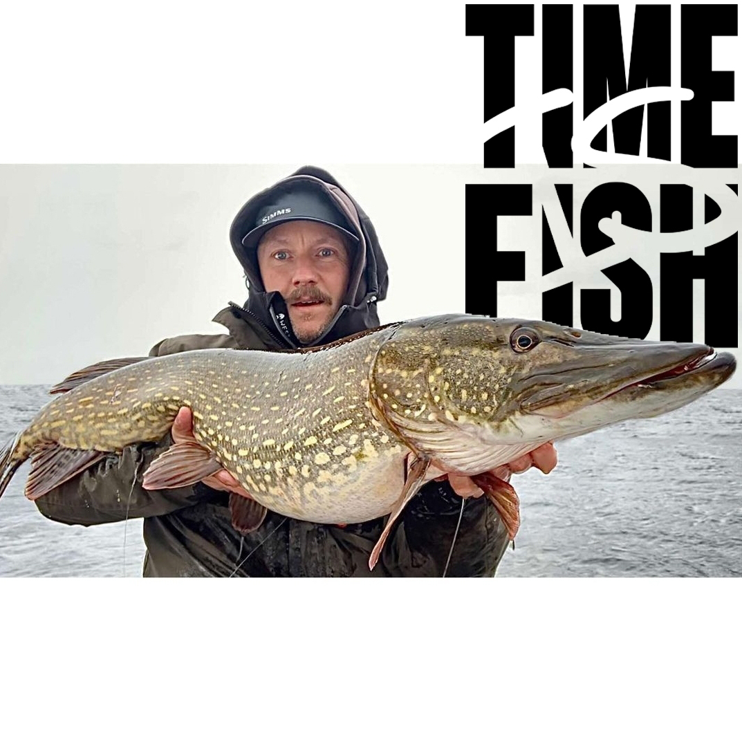 Time Is Fish Scandinavia