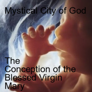 God talks about The Immaculate Conception - The Conception - Bk 1 - Ch 16