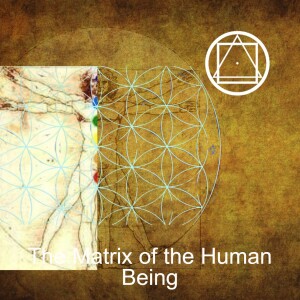 The Matrix of the Human Being