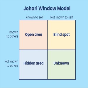 12.45 An overview of the Johari Window