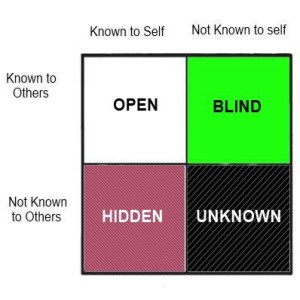 15.34 Using the Johari Window as a Coach