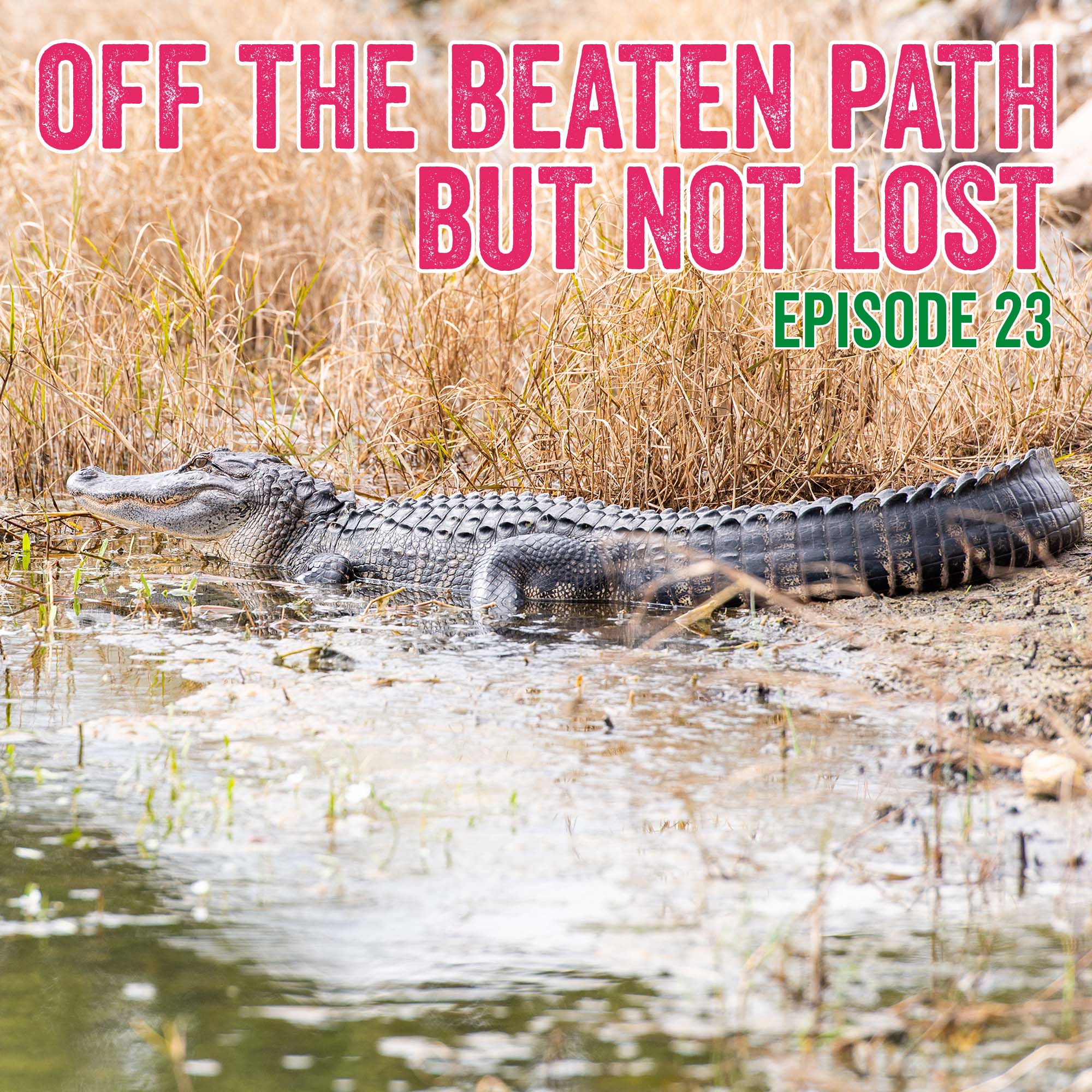 Off the beaten path but not lost | Family RV Life, Jeepin’, and Travel