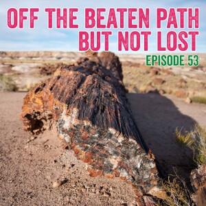 53. Visiting El Malpais National Monument and Petrified Forest National Park