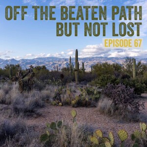 67. Visiting Saguaro National Park and Organ Pipe Cactus National Monument