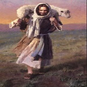 September 15, 2019 - Spent - Rev. Norm Seli