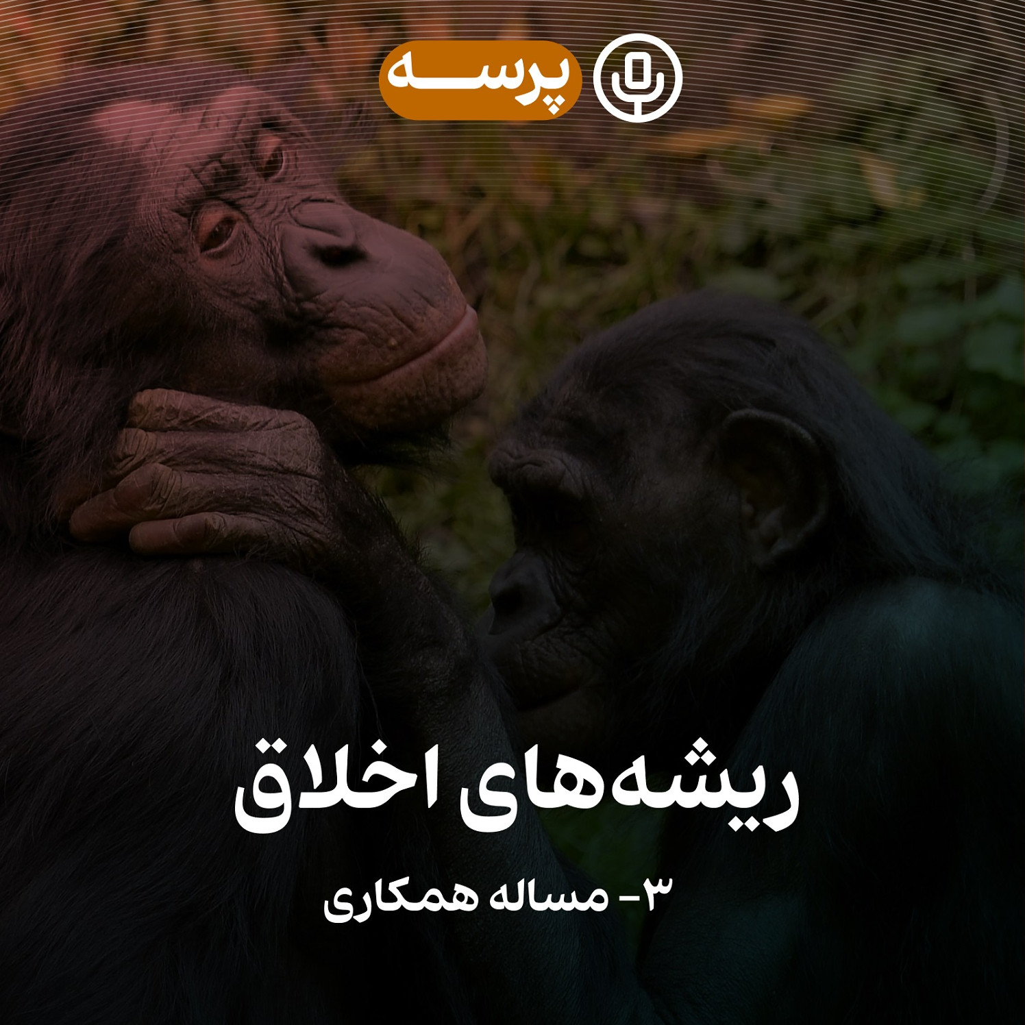 34- Roots of Morality III (ریشههای اخلاق ۳)
