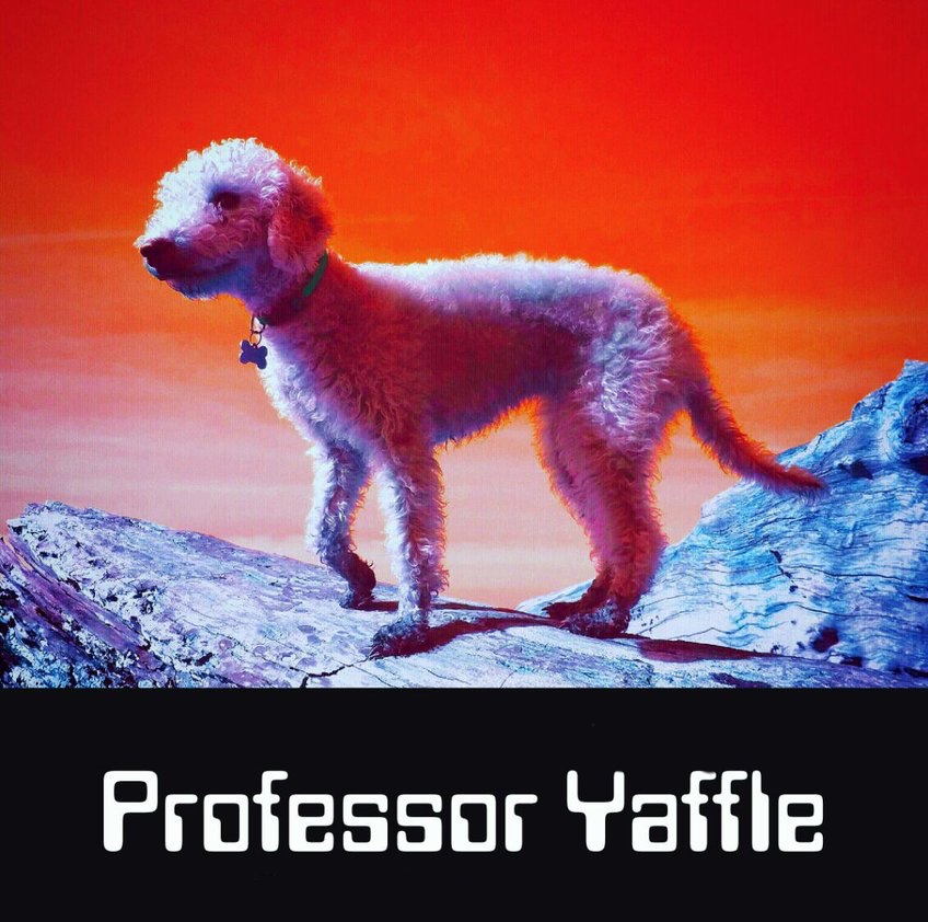 Near Perfect Pitch - Episode 67 (January 21st. 2018) - Professor Yaffle... All Around Cosmic Enlightenment