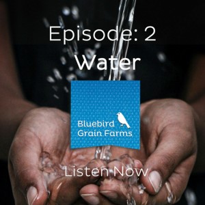 Episode 2 - Water