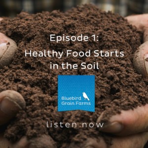 Episode 1- Healthy Food Starts in the Soil