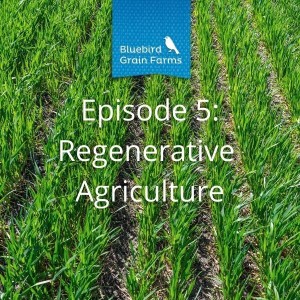 Episode 5 - Regenerative Agriculture